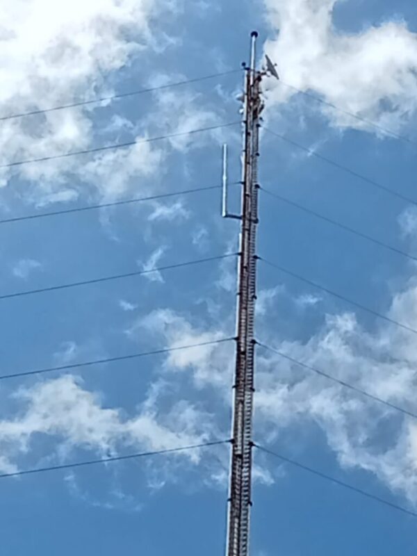 IMG-20250324-WA0006 IMG-20250324-WA0006